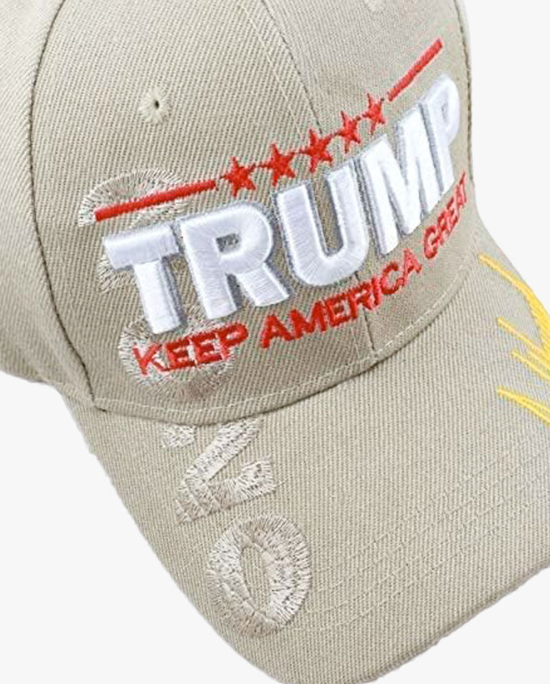 2020 to 2024 Trump Cap