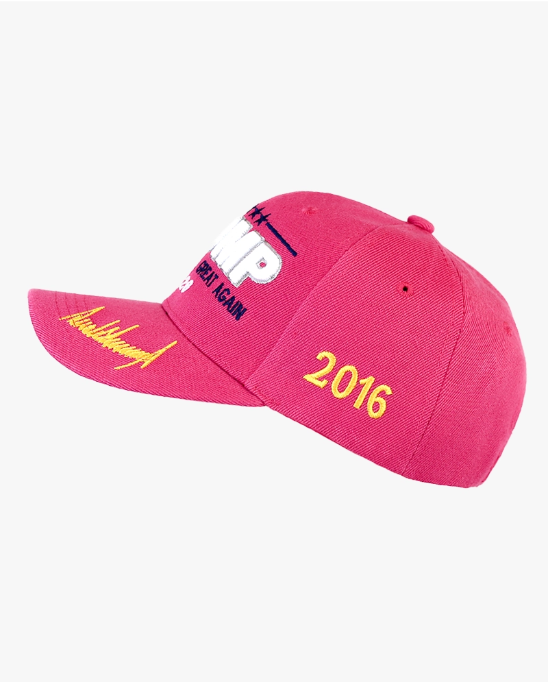 2020 to 2024 Trump Cap