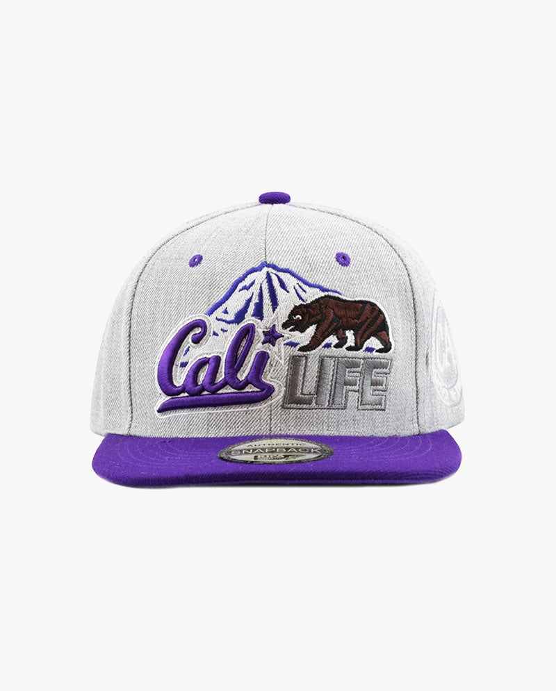 ICY - Cali Life Premium Quality Snapback Cap