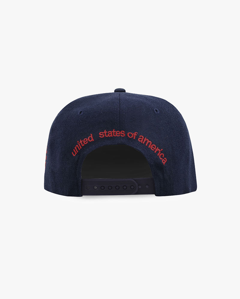 ICY - USA Premium Quality Snapback Cap