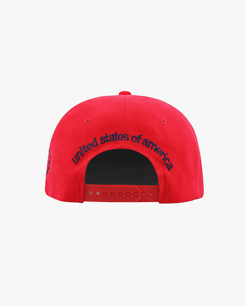 ICY - USA Premium Quality Snapback Cap